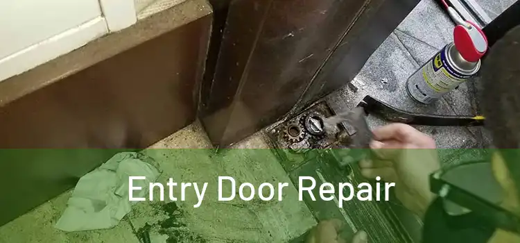 Entry Door Repair