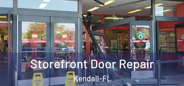 Storefront Door Repair Kendall-FL